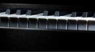 Casio GP Serisi Celviano Grand Hybrid Dijital Piyano 1