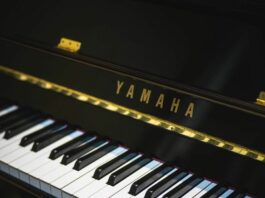 Tuşların Hükümdarlığı: Piyanonun Tarih Boyunca Müziğin Merkezindeki Rolü