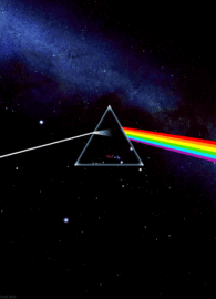 53dc8ba18399512950e5101d5b60dd44