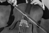 98d3611bb68674b88ffa0975e8194d96