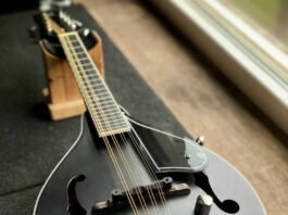 Başlangıç İçin Mandolin Önerisi: Hangi Modeli Seçmelisiniz?