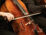 Başlangıçtan Orta Seviyeye Öne Çıkan Çellolar