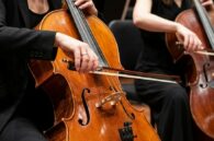 Viyolonsel Seçim Rehberi: Başlangıçtan Orta Seviyeye En Çok Tercih Edilen Çellolar