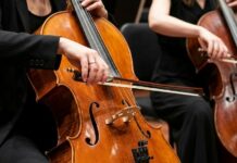 Viyolonsel Seçim Rehberi: Başlangıçtan Orta Seviyeye Öne Çıkan Çellolar
