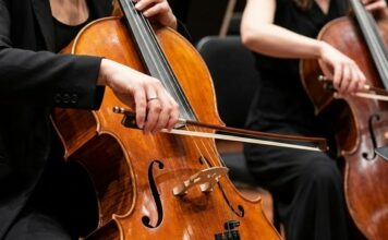 Viyolonsel Seçim Rehberi: Başlangıçtan Orta Seviyeye Öne Çıkan Çellolar