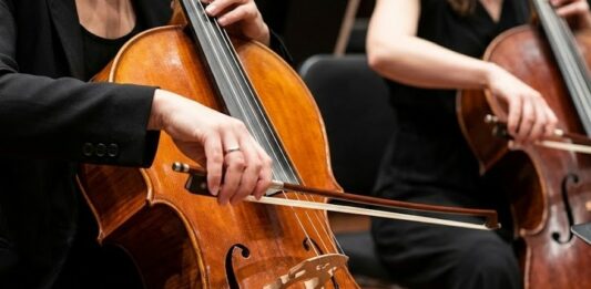 Viyolonsel Seçim Rehberi: Başlangıçtan Orta Seviyeye Öne Çıkan Çellolar