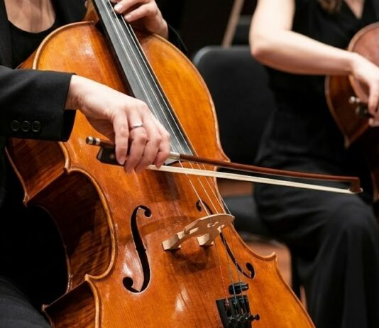 Viyolonsel Seçim Rehberi: Başlangıçtan Orta Seviyeye Öne Çıkan Çellolar