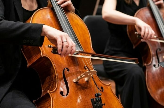 Viyolonsel Seçim Rehberi: Başlangıçtan Orta Seviyeye En Çok Tercih Edilen Çellolar
