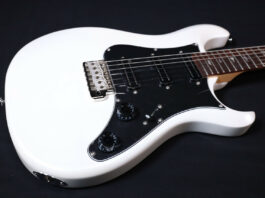 Gitarda İnovasyon Zirvesi: PRS SE NF3 Gülağacı Elektro Gitar İncelemesi