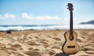 kala-ukulele-doremusic