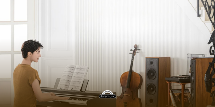 doremusic - Melodik ve Armonik Enstrümanlar Müzikte Sesin Yapısı ve Rolü